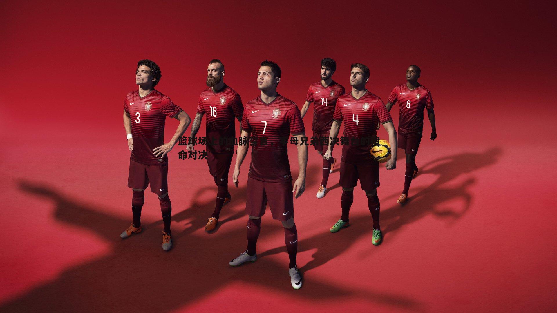 篮球场上的血脉誓言，字母兄弟西决舞台的宿命对决